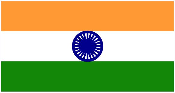 Indian Flag.JPG