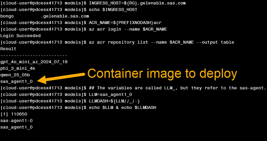 05_BT_SAS_Agentic_AI_Workflow_Container_Image.png