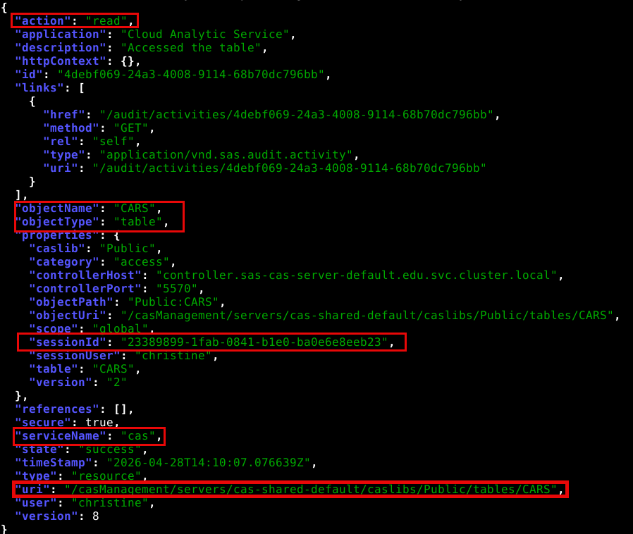 02_brm-cas-activity-record-detail.png