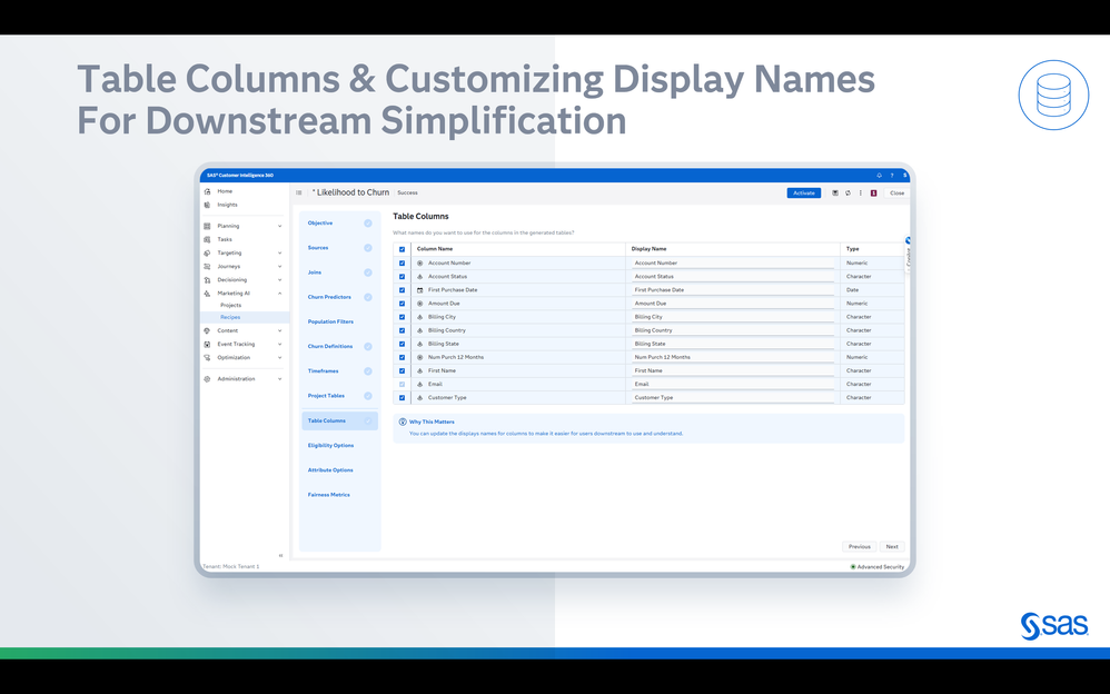 Image 19: Customizing data display names for downstream simplification