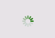 Green_spinning_wheel.PNG