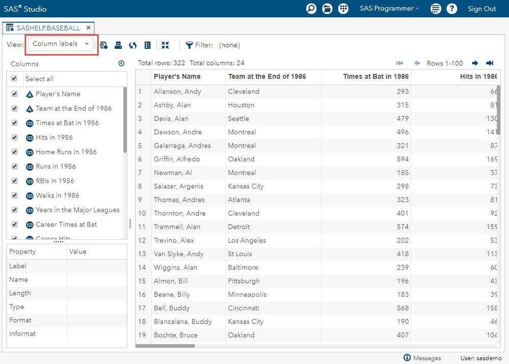 SAS Studio data set viewer showing column labels