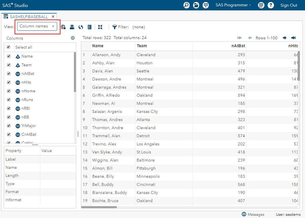 SAS Studio data set viewer showing column names
