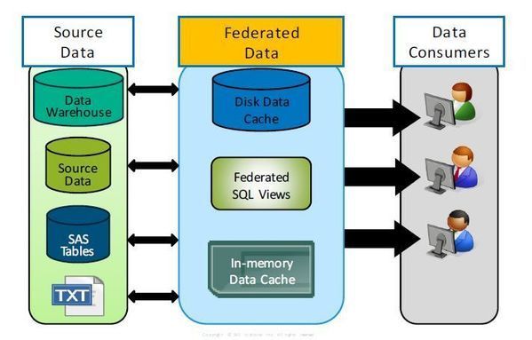 Virtualizing Enterprise Data image.jpg