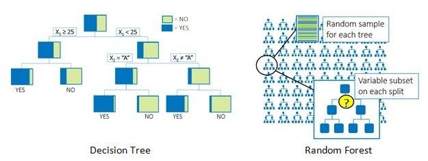 algorithms-decision-tree-random-forests.jpg