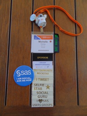 2016-02-16-SASGF-SocialPlans-ribbons.jpg