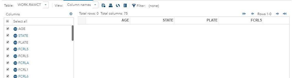 output window