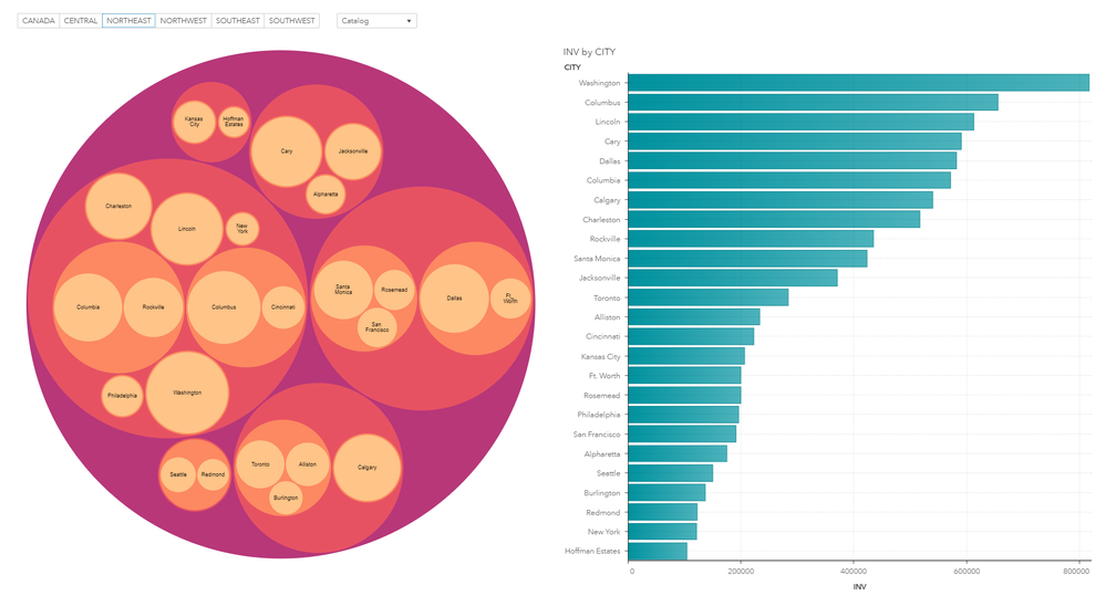 D3 Circle Packing custom visualization in a SAS Visual Analytics Dashboard