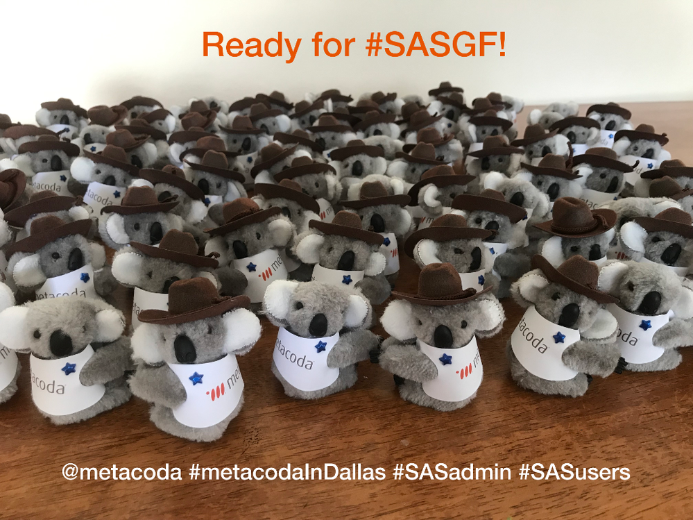 metacodakoala-sasgf2019.png