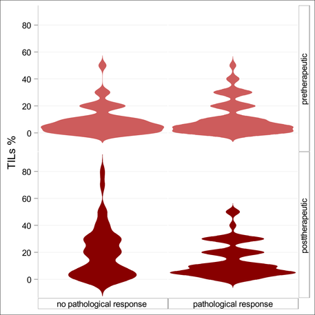 beanplot tils.png