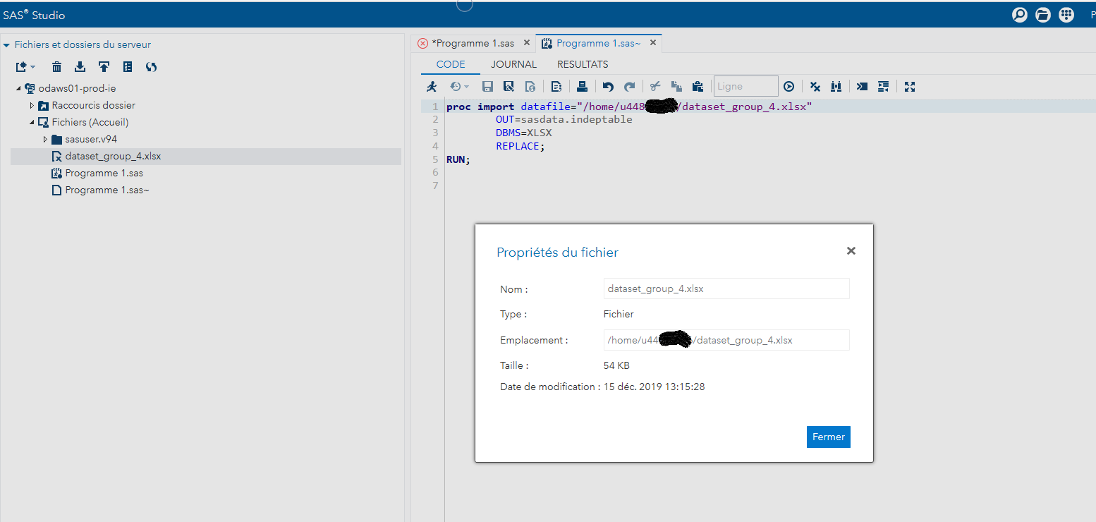 sas physical file does not exist xlsx