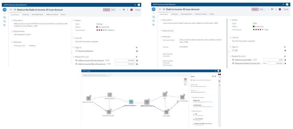 SAS Business Data Network interface.png