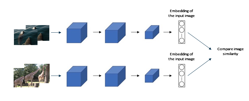 Figure 1: High-level architecture of an Image Embedding Model
