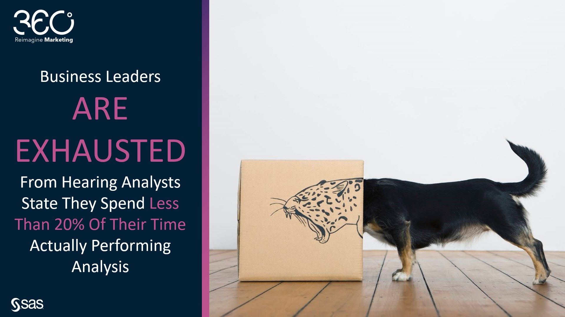 AutoML, ABTs & Visualization for Touchpoint Performance with SAS Custo ...