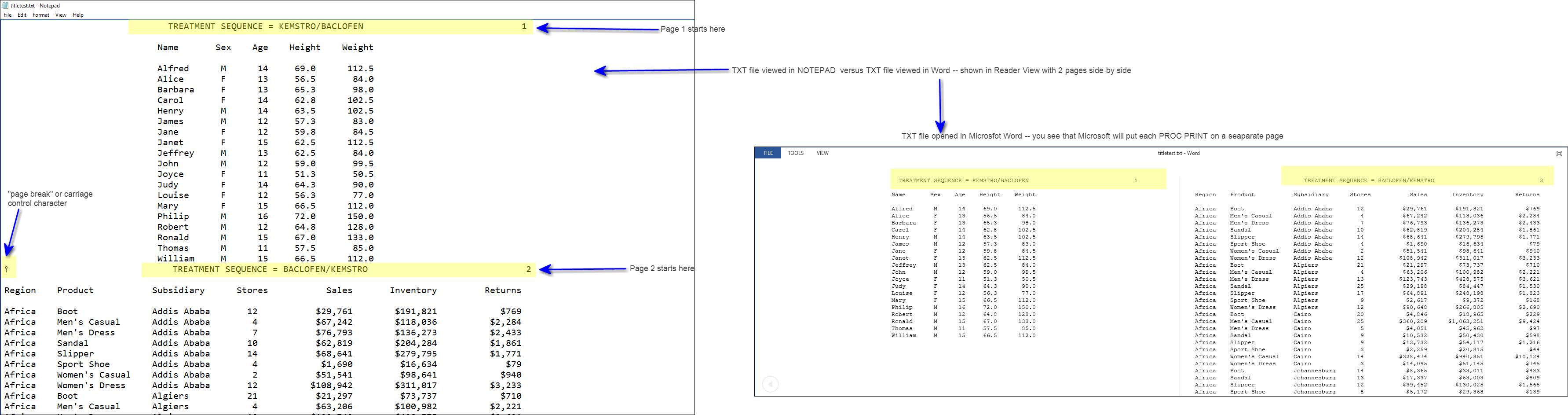 compare_txt_file_title_notepad_vs_word.png
