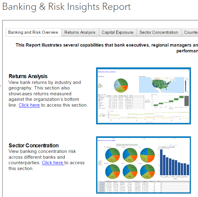 Banking & Risk Insights Report _ SAS.png