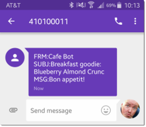 Sample text message from SAS