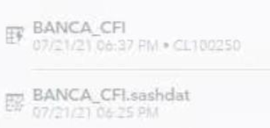 elisehoo1_0-1626962220656.png elisehoo1_0-1626962220656.png