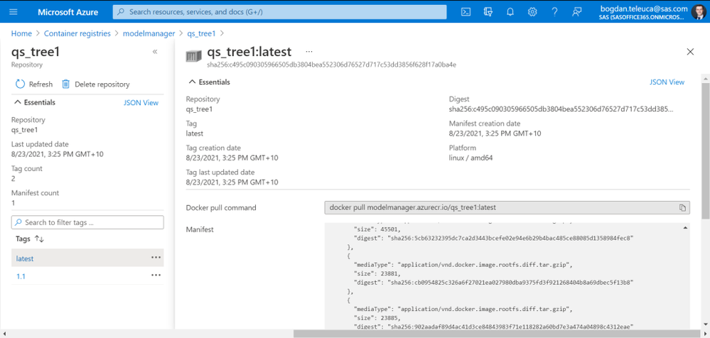 220-SAS-bt_3_Container-Runtime-Image-Champion-Model-in-an-Azure-Container-Registry-1024x488.png