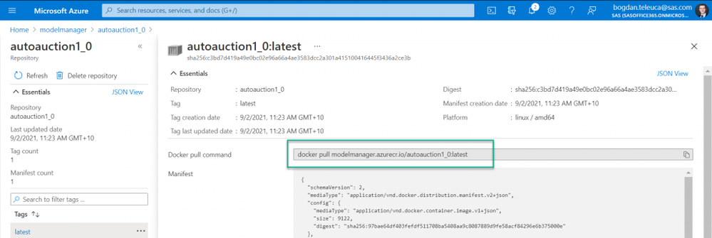 bt_4_415-SAS-Decision-Published-with-SCR-in-the-Azure-Container-Registry-1024x343.png