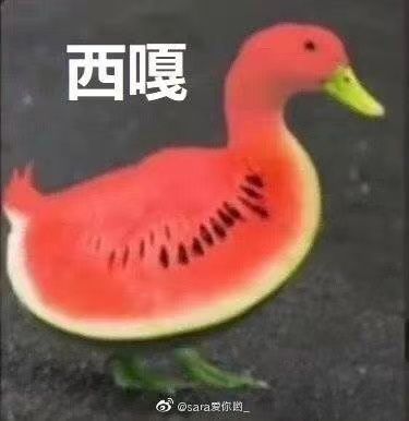 chenruidong