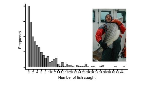 Pic with woman and fish for Regression Methods article.jpg