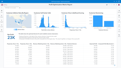 Image 24 - Profit Matrix Optimization - Summary Report