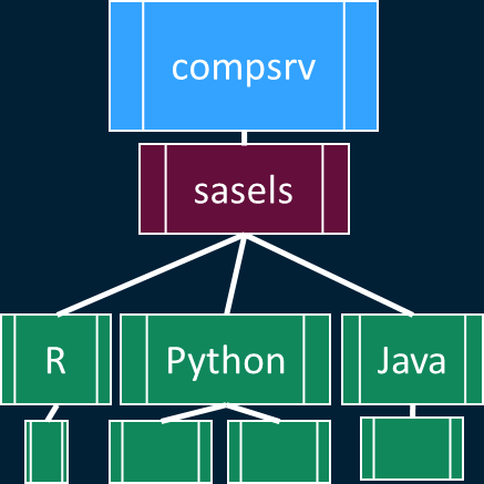 3-Code-in-other-languages-can-be-run-from-SAS-programming-run-time-sessions.png