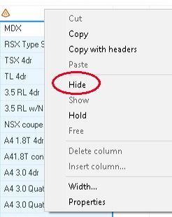 hide option.jpg