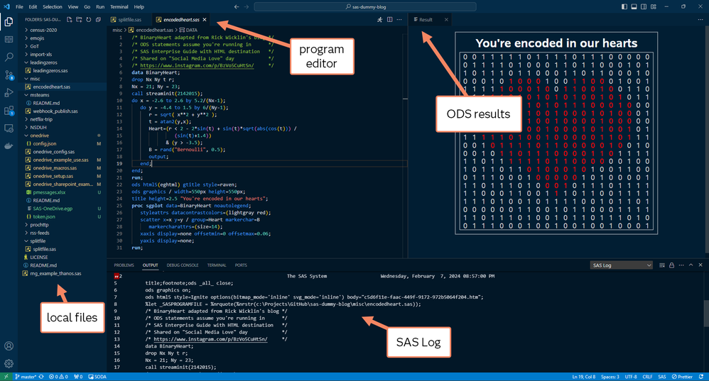 Anatomy of your SAS environment in VS Code